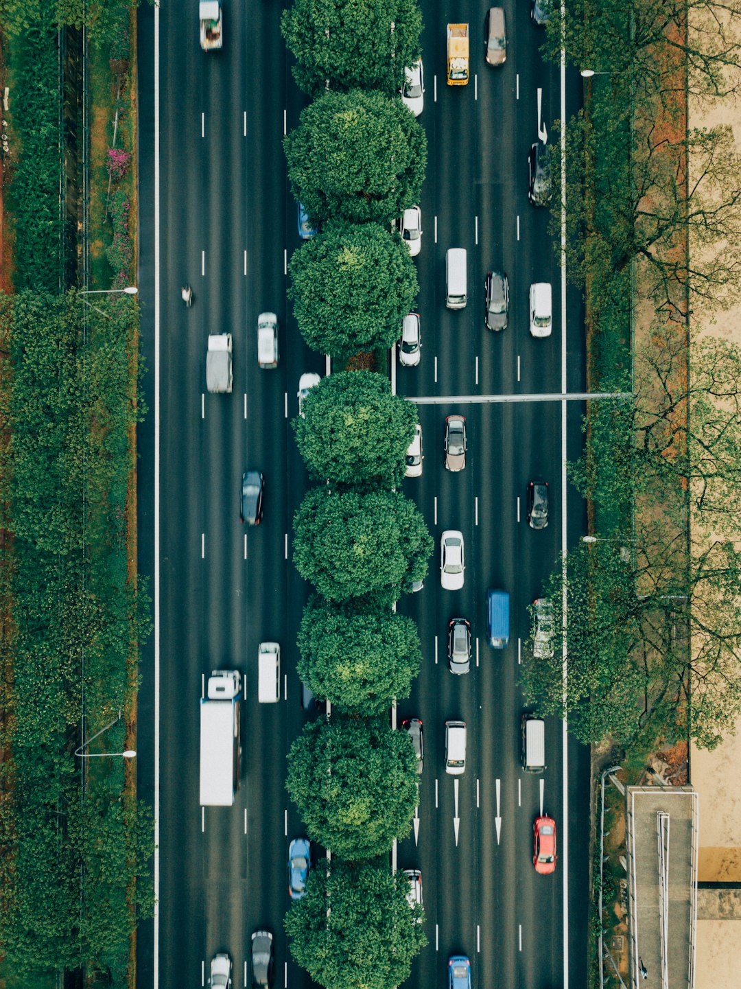 Speed Trap Showdown: The Top Spots for Speeding Tickets in Tainan